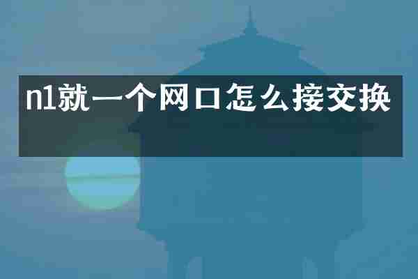 n1就一个网口怎么接交换机