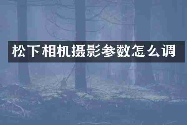 相机摄影参数怎么调