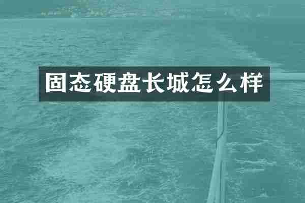 固态硬盘长城怎么样