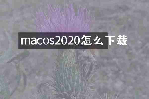 macos2020怎么下载