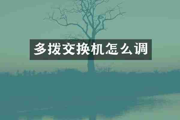 多拨交换机怎么调