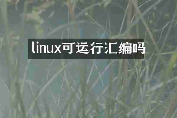 linux可运行汇编吗