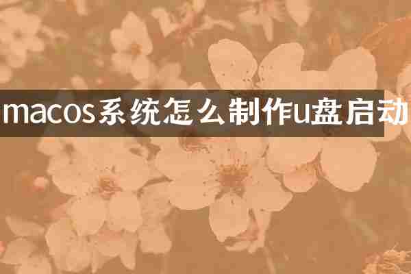 macos系统怎么制作u盘启动