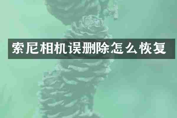 相机误删除怎么恢复