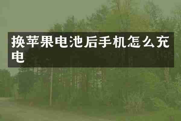 换苹果电池后手机怎么充电