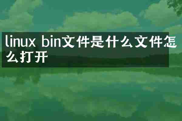 linux bin文件是什么文件怎么打开