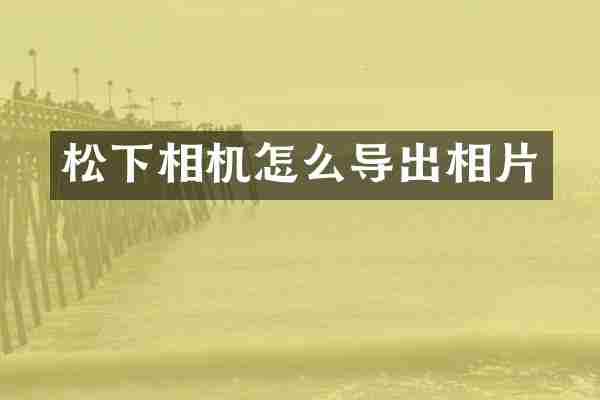 相机怎么导出相片