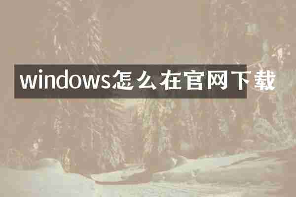 windows怎么在官网下载