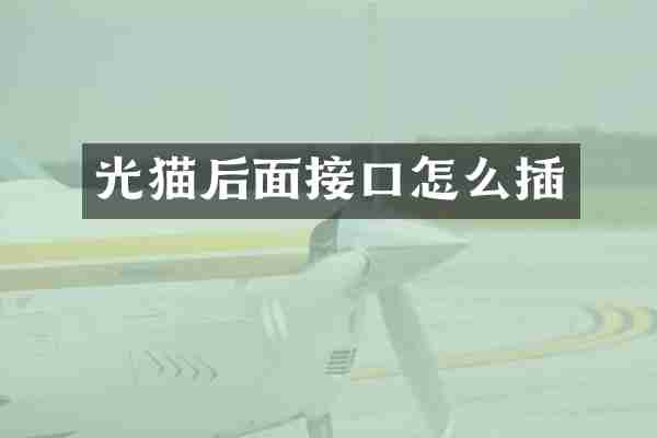 光猫后面接口怎么插