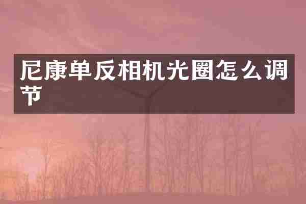 尼康单反相机光圈怎么调节