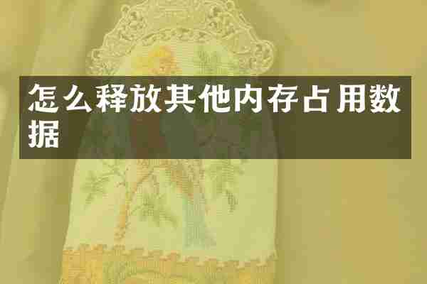 怎么释放其他内存占用数据