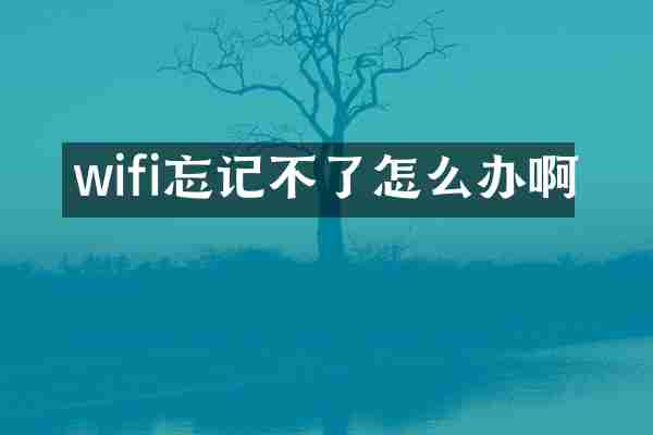 wifi忘记不了怎么办啊
