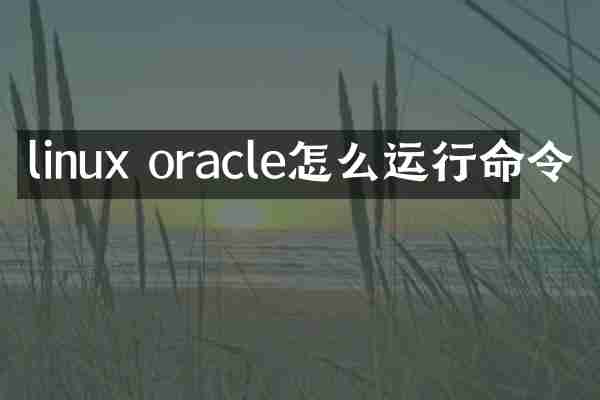 linux oracle怎么运行命令