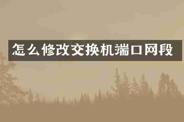 怎么修改交换机端口网段