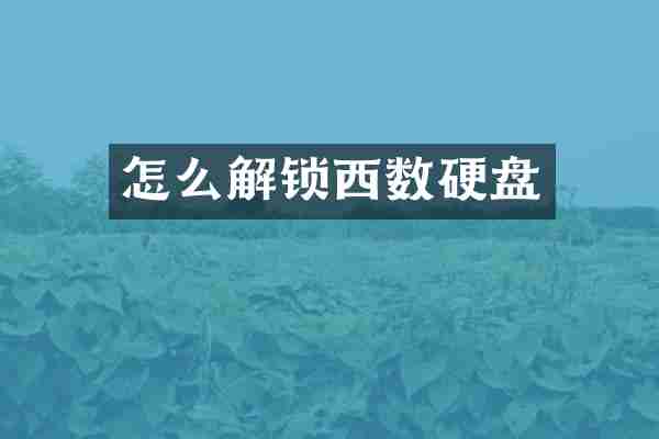 怎么解锁西数硬盘