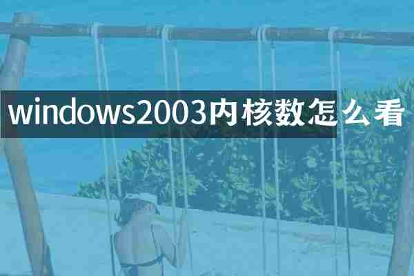 windows2003内核数怎么看