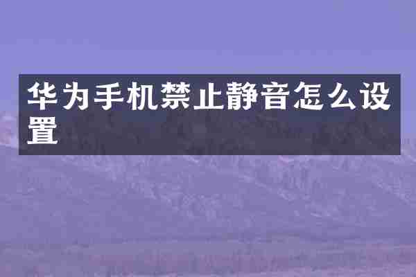 华为手机禁止静音怎么设置