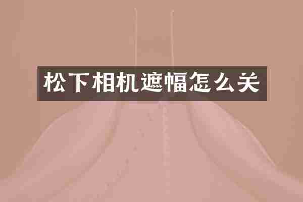 松下相机遮幅怎么关