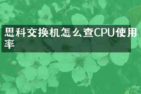 思科交换机怎么查CPU使用率