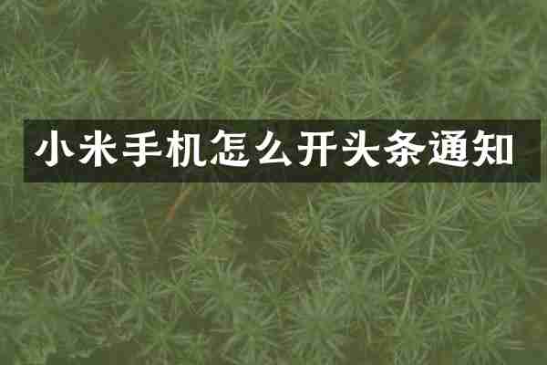 小米手机怎么开头条通知