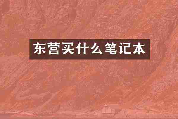 东营买什么笔记本