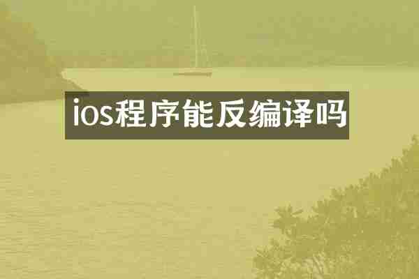 ios程序能反编译吗