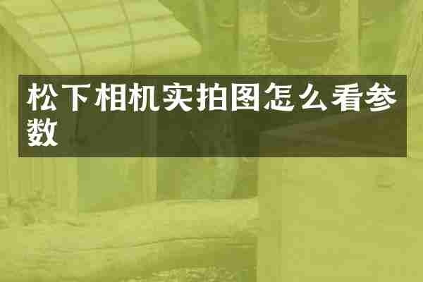 松下相机实拍图怎么看参数