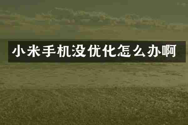 小米手机没优化怎么办啊