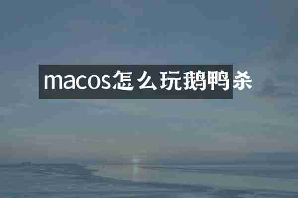 macos怎么玩鹅鸭杀