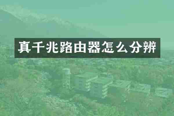 真千兆路由器怎么分辨