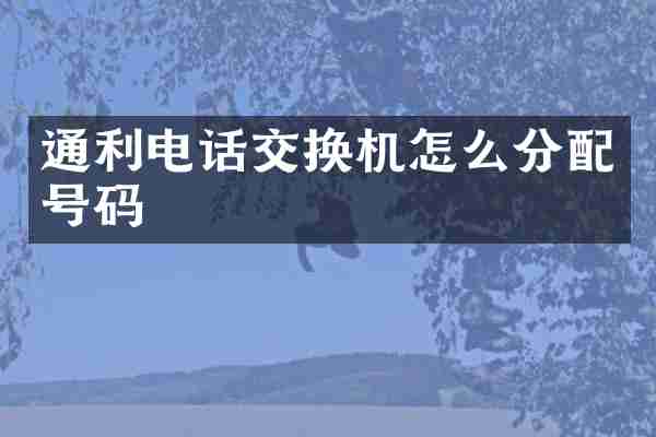 通利电话交换机怎么分配号码
