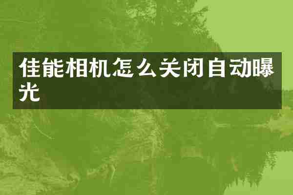 佳能相机怎么关闭自动曝光