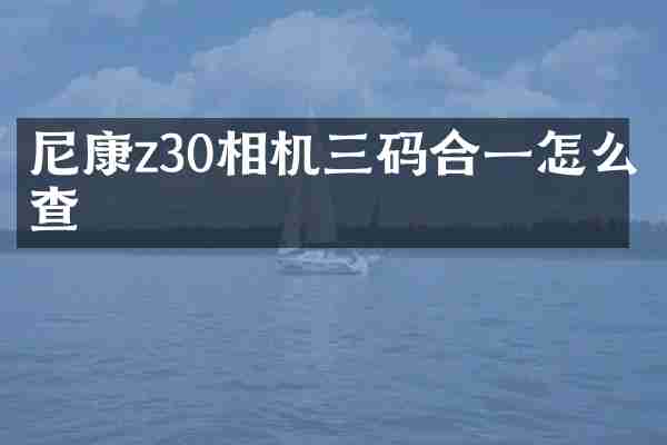 尼康z30相机三码合一怎么查