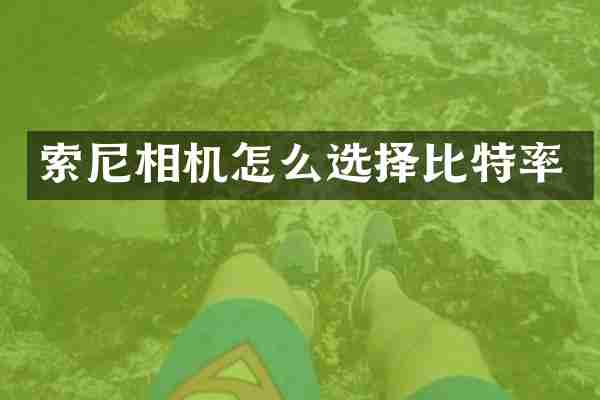 索尼相机怎么选择比特率