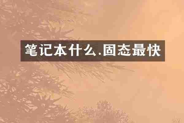 笔记本什么.固态最快