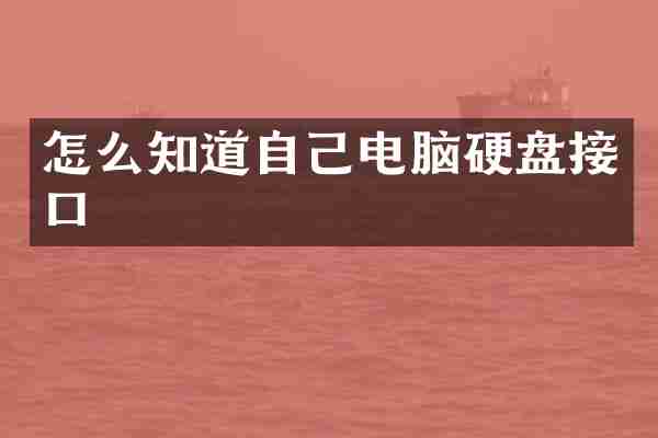 怎么知道自己电脑硬盘接口