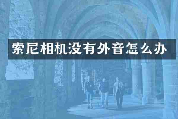 索尼相机没有外音怎么办