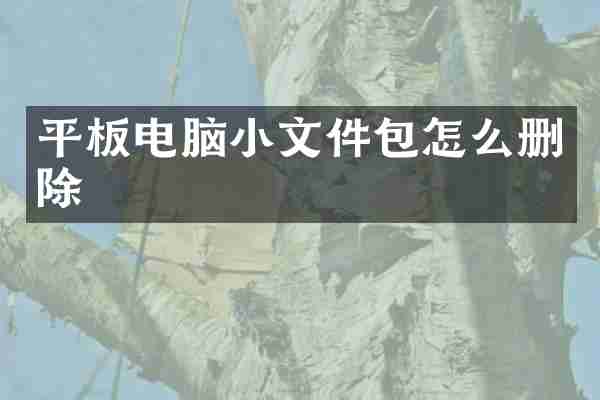 平板电脑小文件包怎么删除