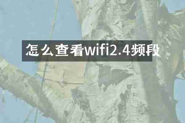 怎么查看wifi2.4频段