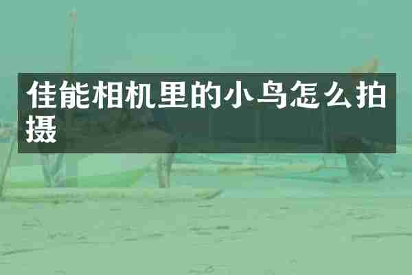 佳能相机里的小鸟怎么拍摄