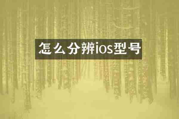 怎么分辨ios型号