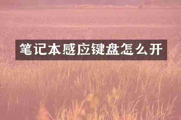 笔记本感应键盘怎么开
