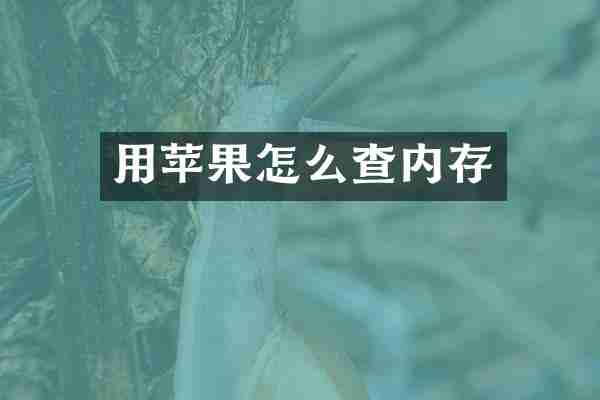 用苹果怎么查内存