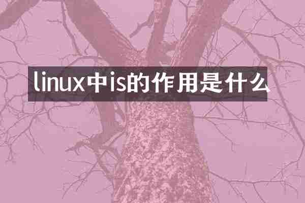 linux中is的作用是什么