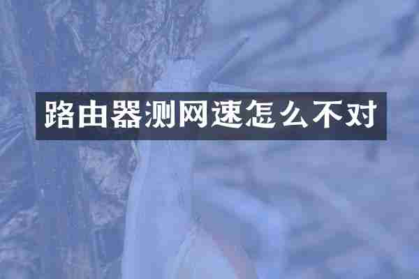 路由器测网速怎么不对
