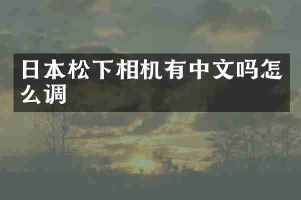 日本松下相机有中文吗怎么调
