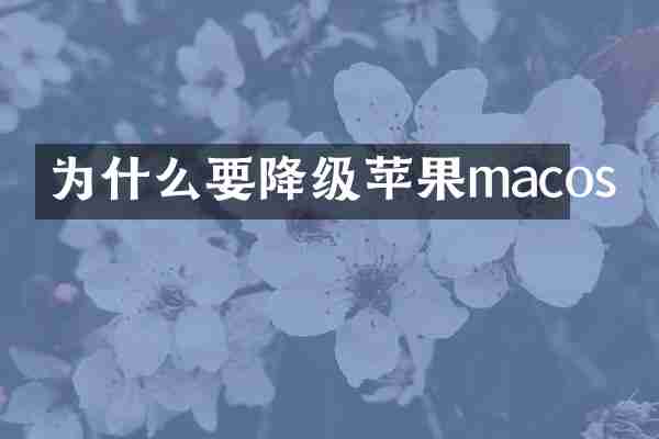 为什么要降级苹果macos