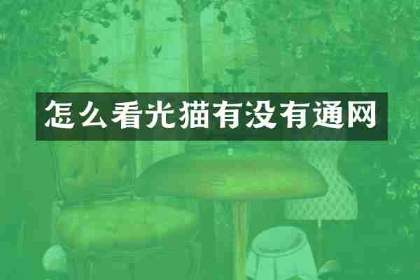 怎么看光猫有没有通网