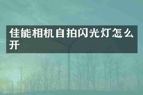 佳能相机自拍闪光灯怎么开