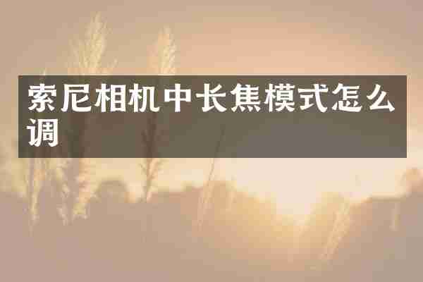 相机中长焦模式怎么调